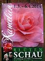 2014-03-08,_Kamelie (1)